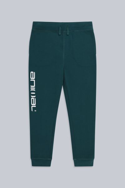 Animal Bobby Kids Organic Jogging Bottoms Teal Origin Mountain Warehouse