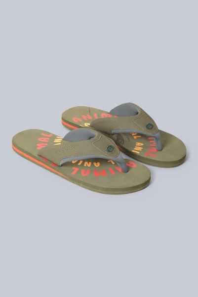 Fashion Mountain Warehouse Animal Jekyl Mens Recycled Flip-Flops Khaki
