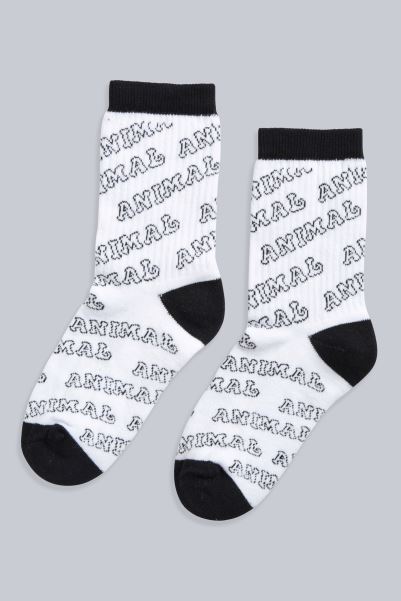 Animal Ryley Kids Logo Socks Fashion White Mountain Warehouse