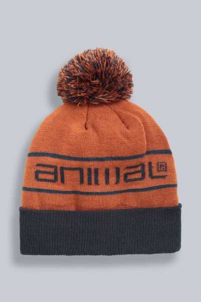 Animal Briggs Mens Recycled Beanie Brown Brand Mountain Warehouse
