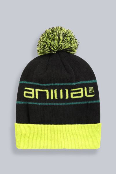 Lime Brands Animal Briggs Mens Recycled Beanie Mountain Warehouse