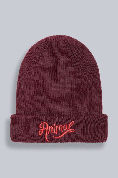 Animal Hayley Womens Recycled Beanie Mountain Warehouse Collection Purple