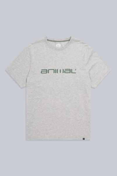 Animal Classico Mens Organic T-Shirt Grey Brand Mountain Warehouse